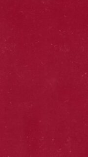 Em maio, iniciamos um curso mensal, organizando por e para os servidores do NIDES.
A ideia era debater, de forma ampla, os principais temas que nos orientam.
O primeiro encontro foi sobre Tecnologia Social, com o Felipe Addor, depois seguimos para Universidade Popular, com a sensibilização do Julian.
Em julho tratamos das Relações do Currículo e Extensão Universitária, com a querida Rejane.
Em agosto, Politecnia e Cultura, com o Paulo.
Setembro foi a vez do Sandro trazer a sua temática: Pesquisa e Extensão, dialogando com territórios indígenas e seus movimentos sociais.
Em outubro fomos provocados a refletir sobre contra vigilância e softwares livres, com o Celso e o Renan.
E agora em novembro, receberemos o nosso primeiro convidado, o Janaílson, liderança do MST, que vem conversar com a gente sobre cultura organizativa e práticas de organização coletiva.
Em breve atualizaremos vocês sobre esse novo encontro e como tem sido essa experiência de compartilhamento de temáticas e experiências entre os servidores!